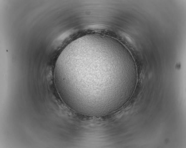 X0000090501062200707272357