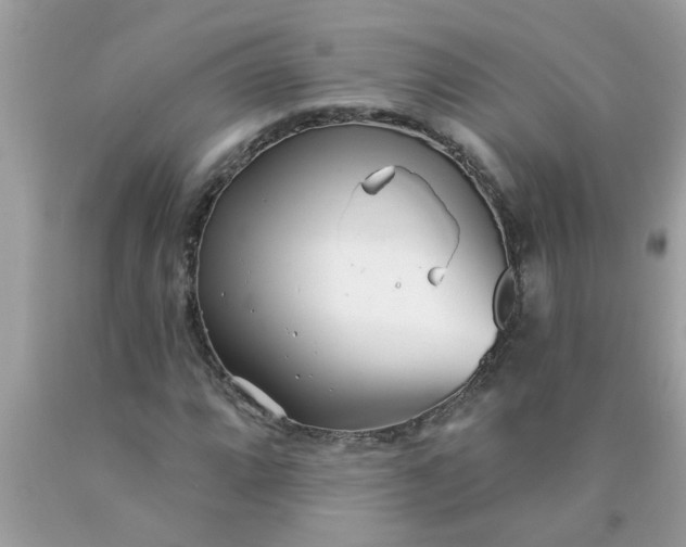 X0000090501064200707272357