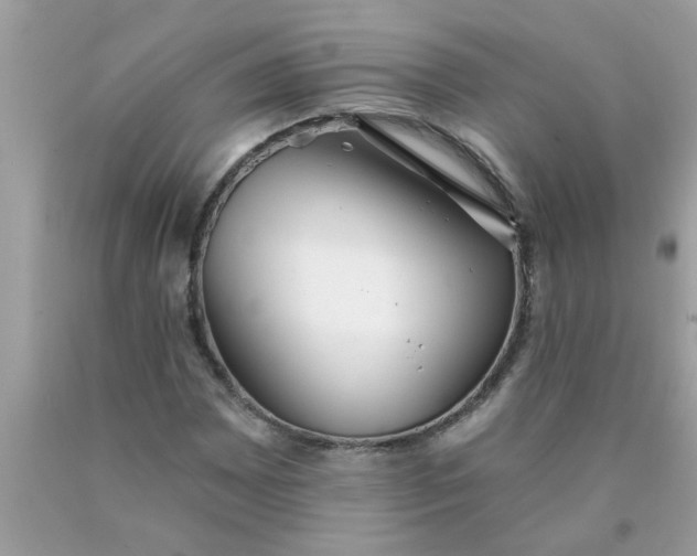 X0000090501065200707272357