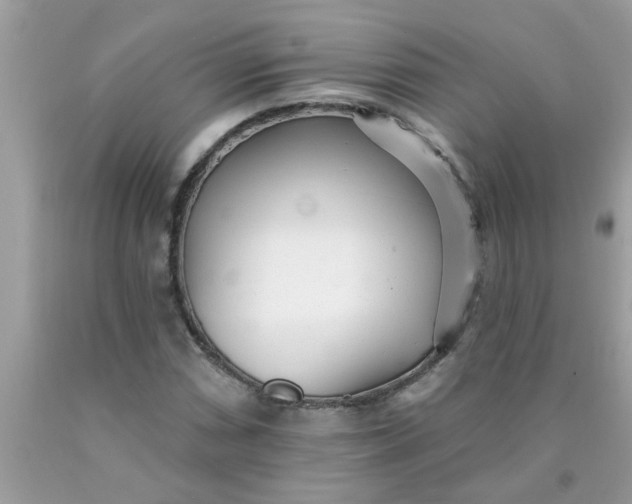 X0000090501066200707272357