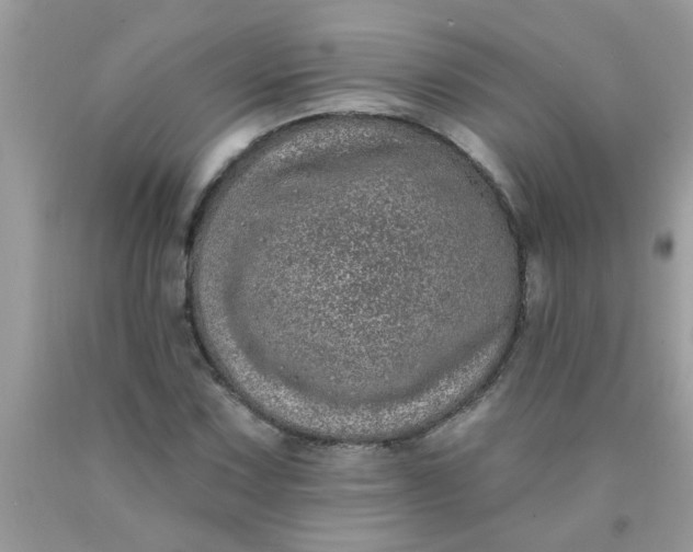 X0000090501067200707272357