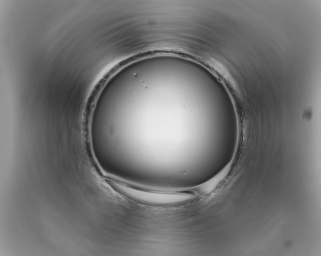 X0000090501068200707272357