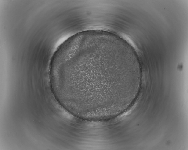 X0000090501071200707272357