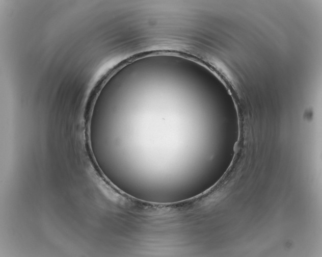 X0000090501072200707272357