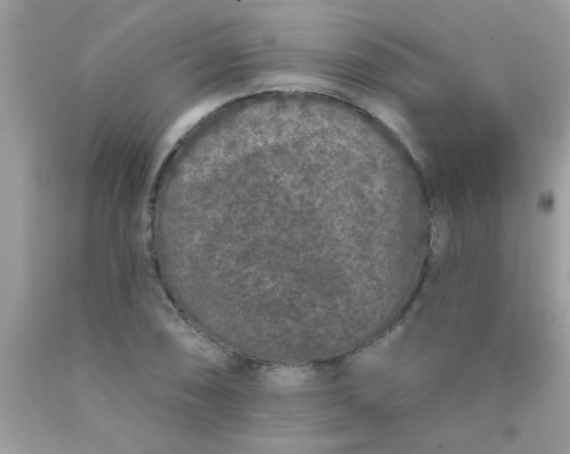 X0000090501074200707272357