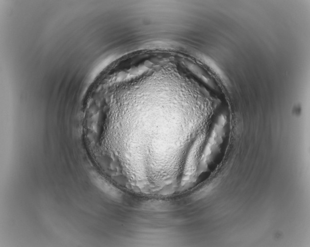 X0000090501075200707272357