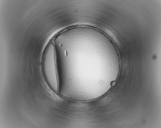 X0000090501076200707272357