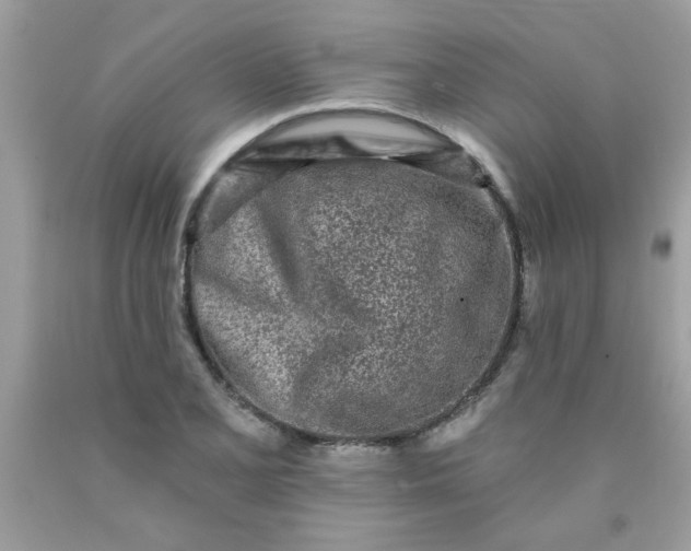 X0000090501077200707272357