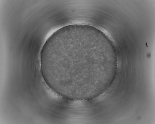 X0000090501078200707272357