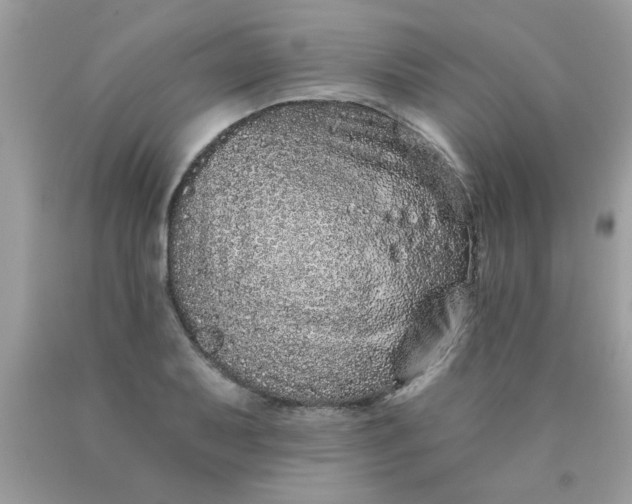 X0000090501079200707272357