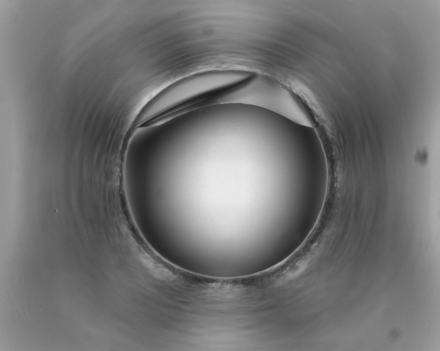 X0000090501081200707272357