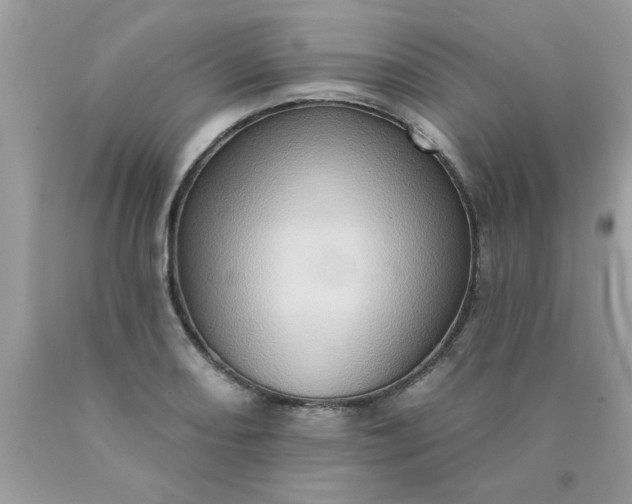 X0000090501082200707272356