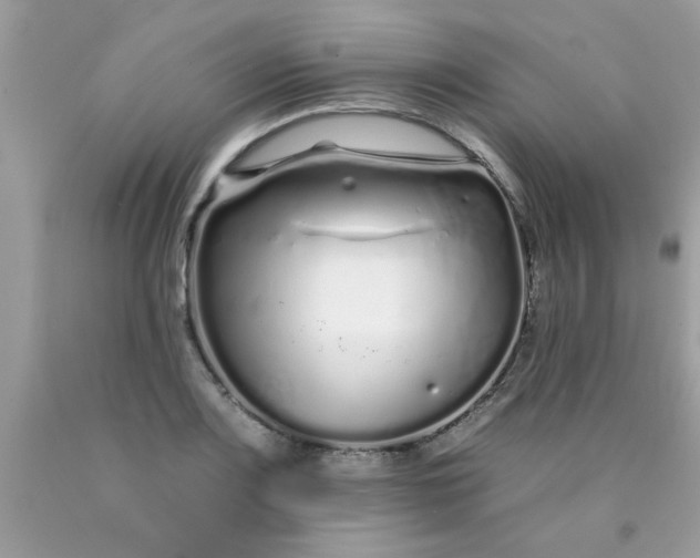 X0000090501083200707272356