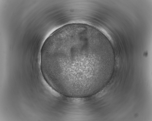 X0000090501084200707272356