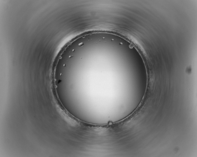 X0000090501085200707272356