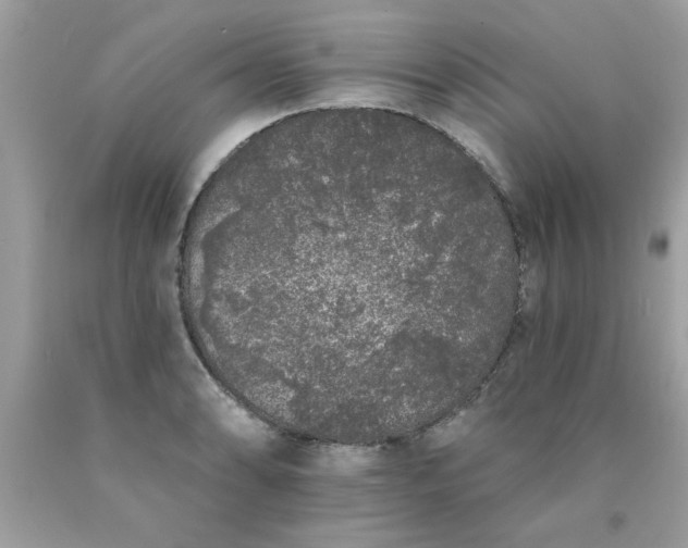 X0000090501086200707272356