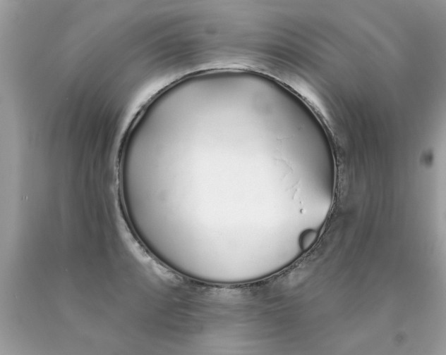 X0000090501088200707272356