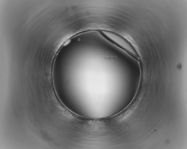 X0000090501089200707272356