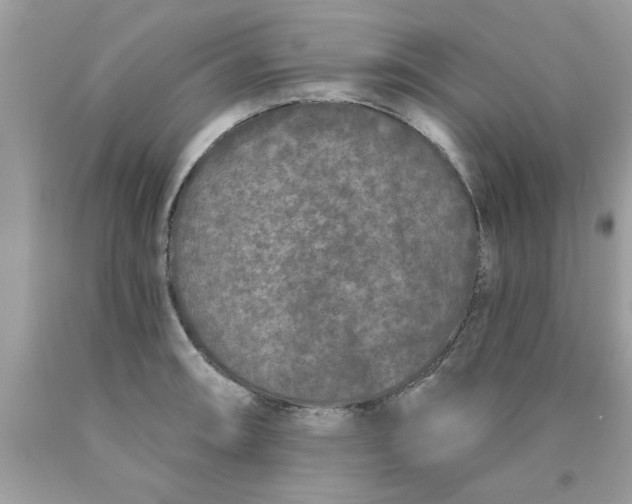 X0000090501090200707272356