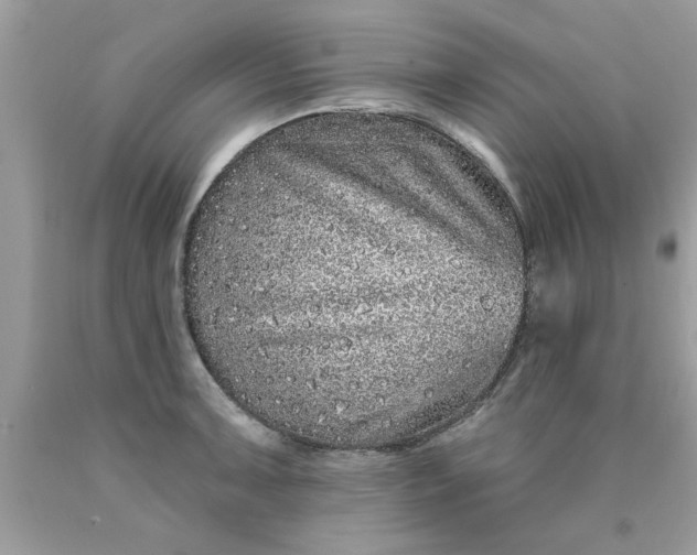 X0000090501091200707272356