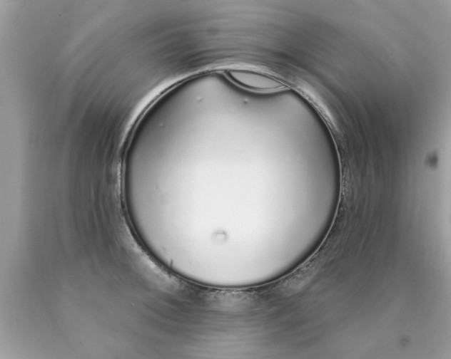 X0000090501092200707272356