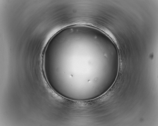 X0000090501096200707272356