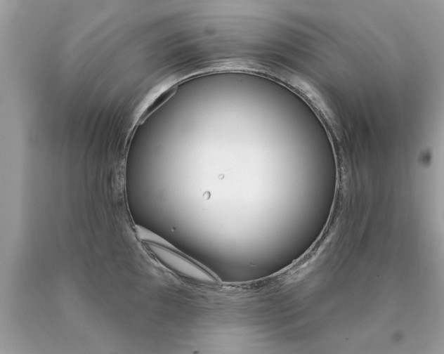 X0000090501097200707272356