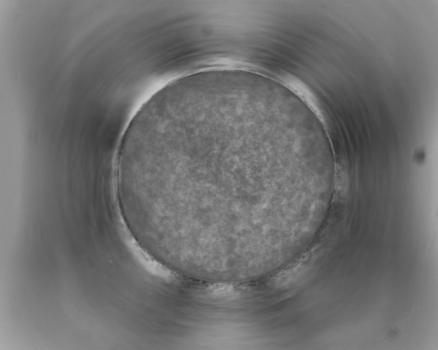 X0000090501098200707272356