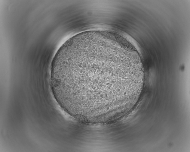 X0000090501099200707272356