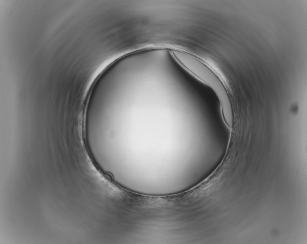 X0000090501100200707272356