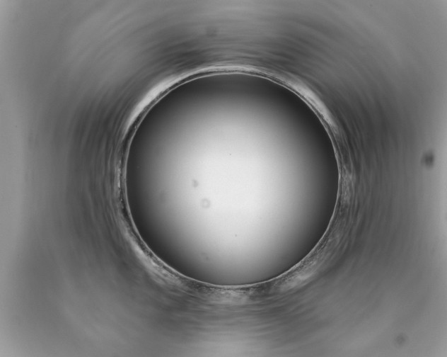 X0000090501101200707272356