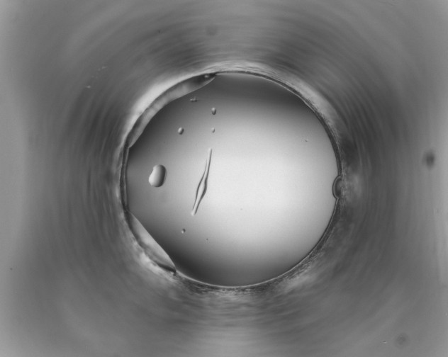 X0000090501102200707272356