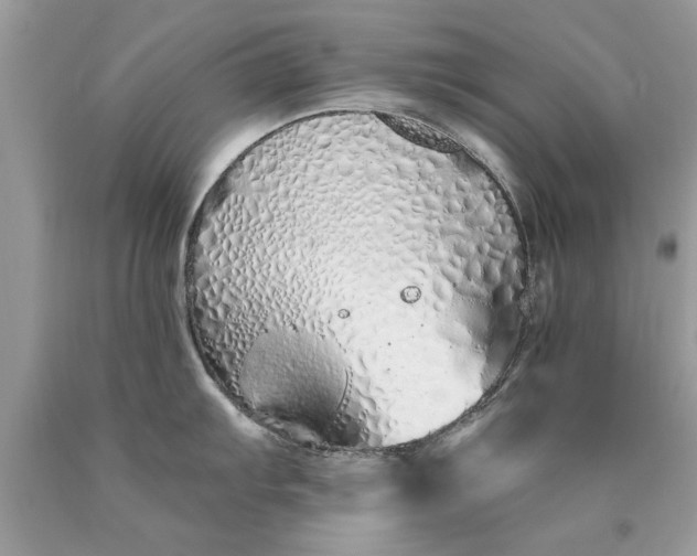 X0000090501103200707272356