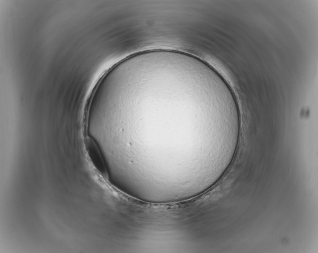 X0000090501104200707272356