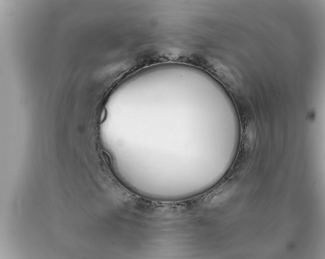 X0000090501105200707272356