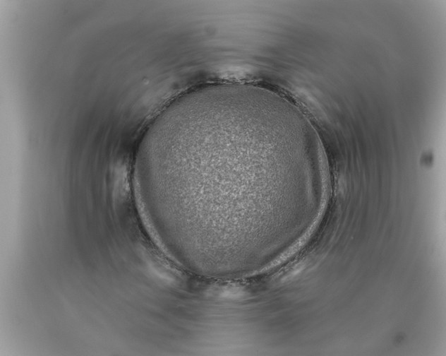 X0000090501106200707272356