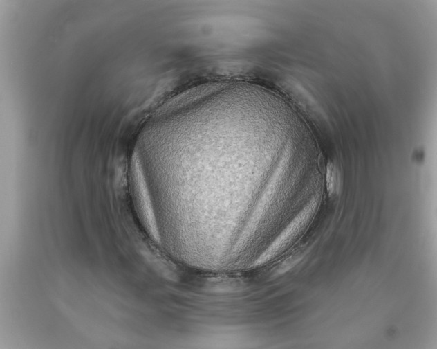 X0000090501107200707272356