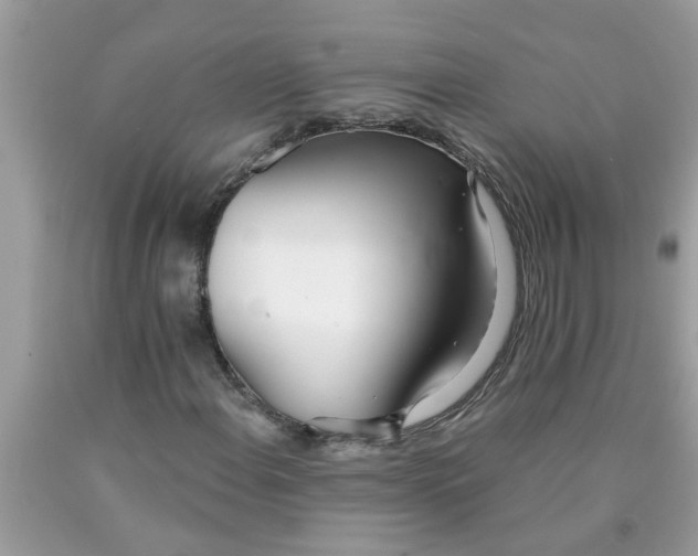 X0000090501108200707272356