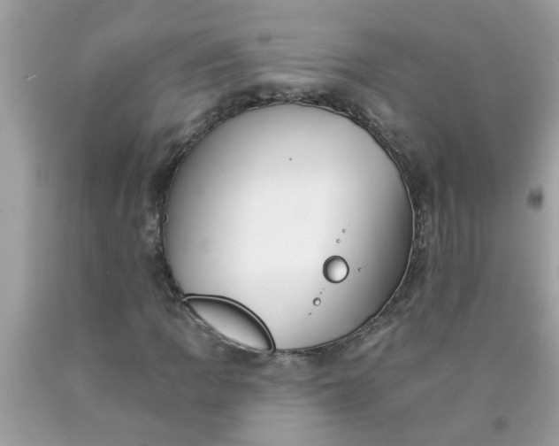 X0000090501109200707272356