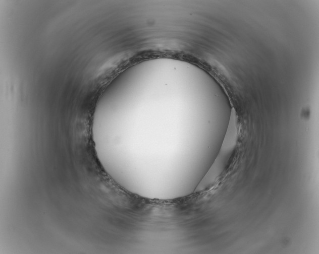 X0000090501110200707272356