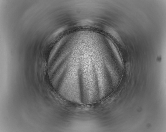 X0000090501111200707272356