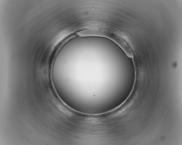 X0000090501114200707272356