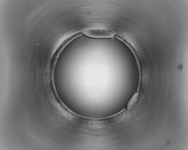 X0000090501116200707272356