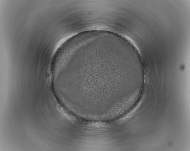 X0000090501117200707272356