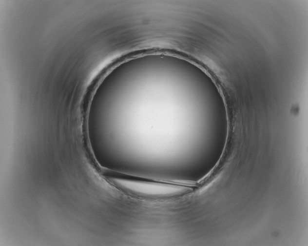 X0000090501118200707272356