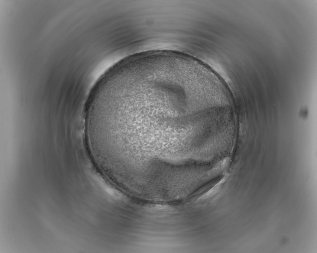 X0000090501119200707272356