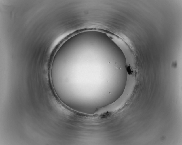 X0000090501120200707272356