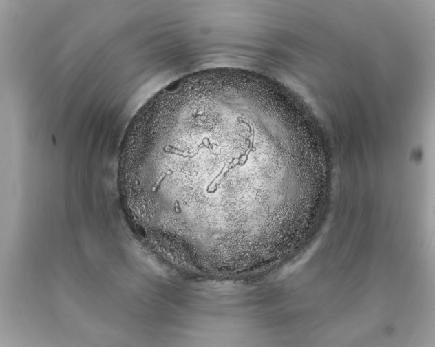 X0000090501121200707272356