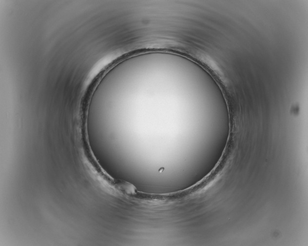 X0000090501122200707272356