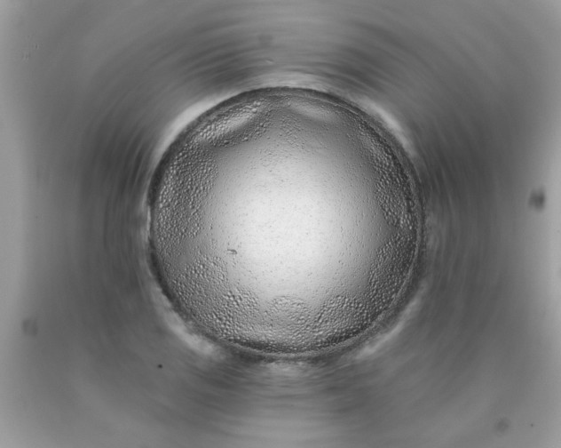 X0000090501125200707272356